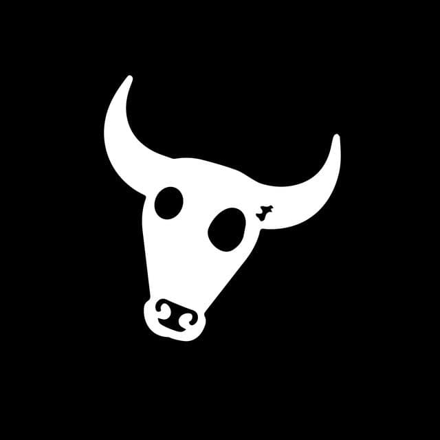 BULLS ð“ƒ“